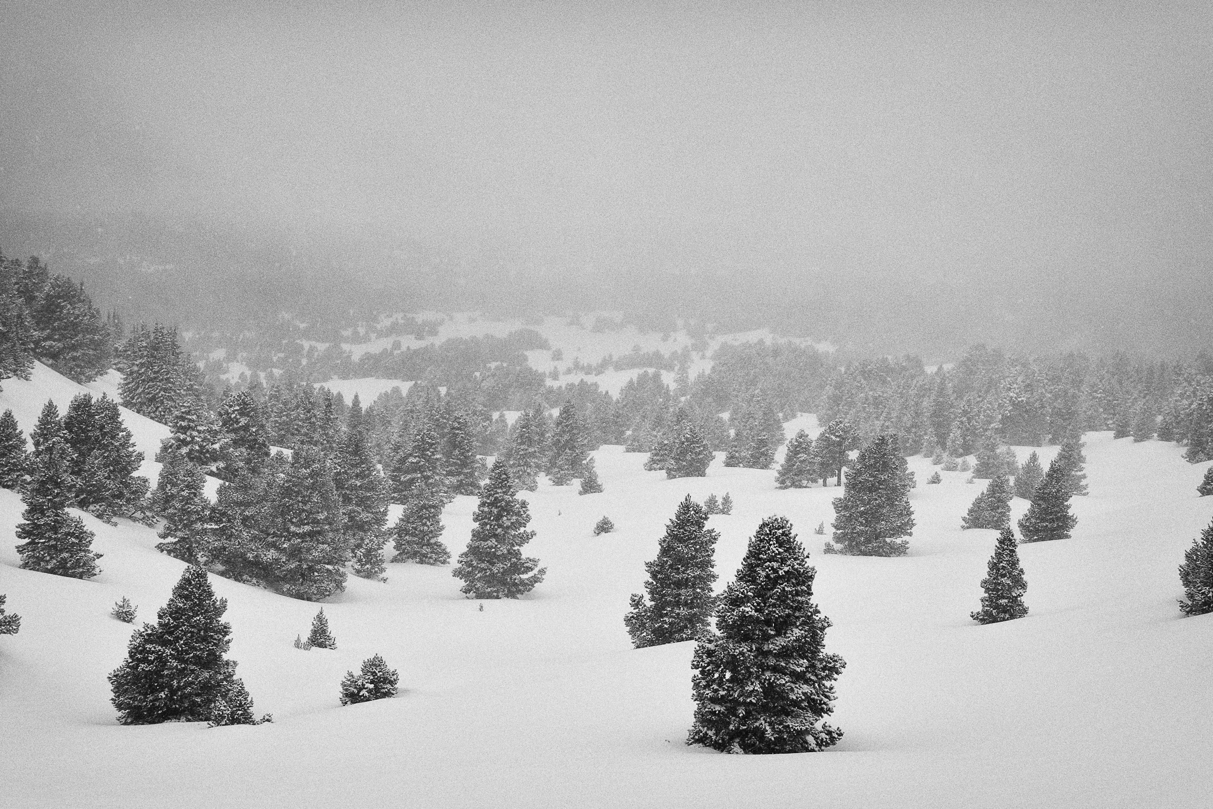 Squarespace-10 copy.jpg