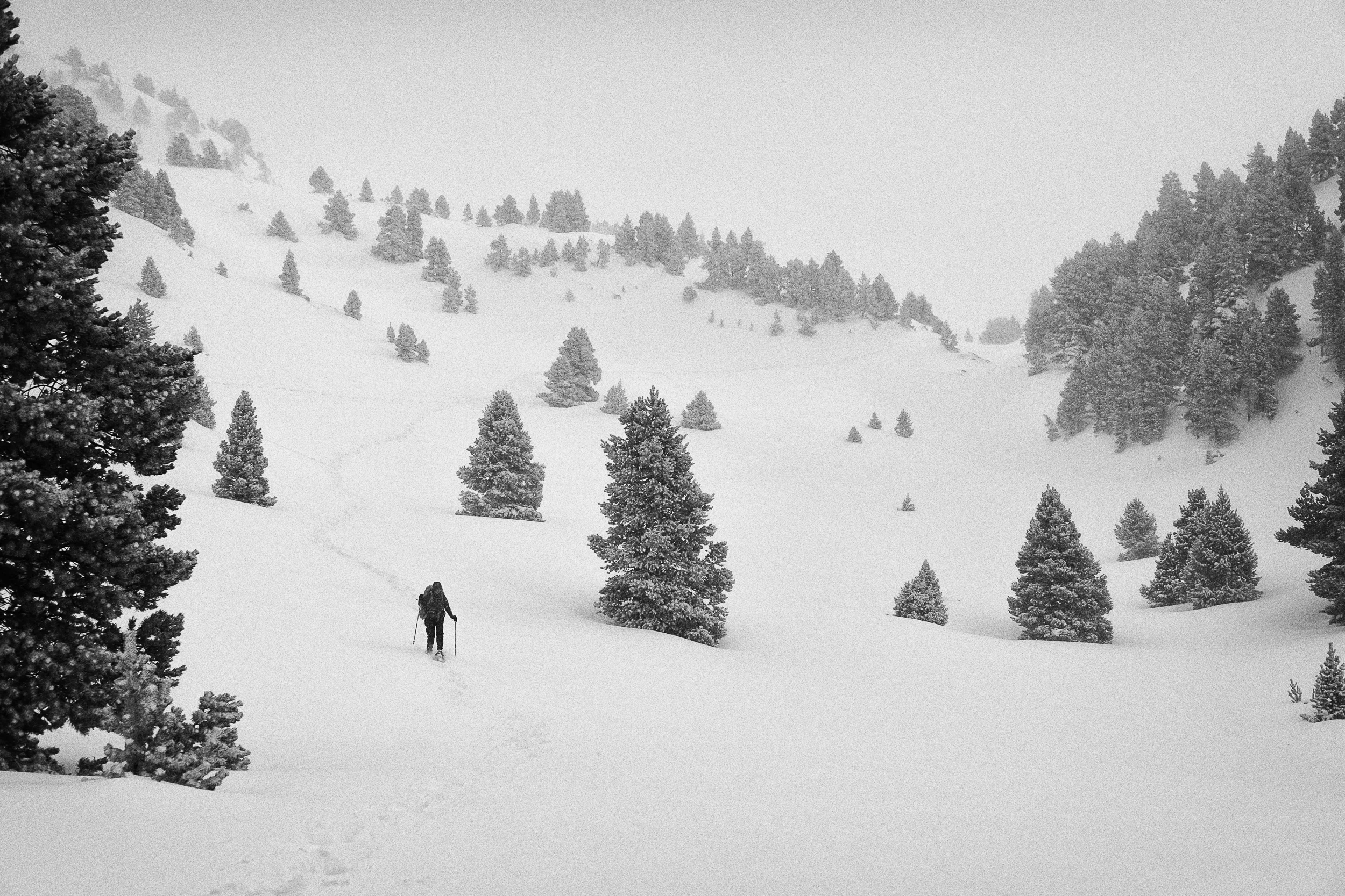 Squarespace-11 copy.jpg