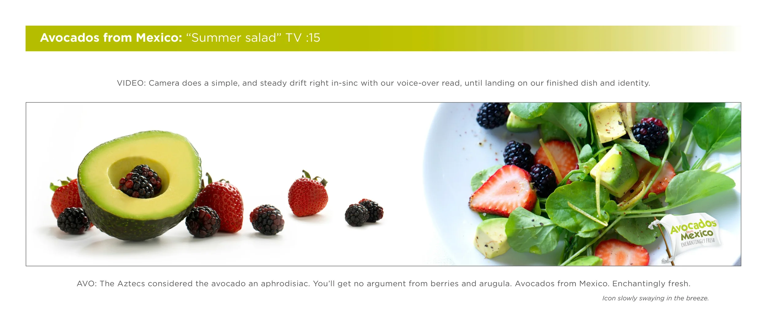 Enchanting TV finals-2.jpg