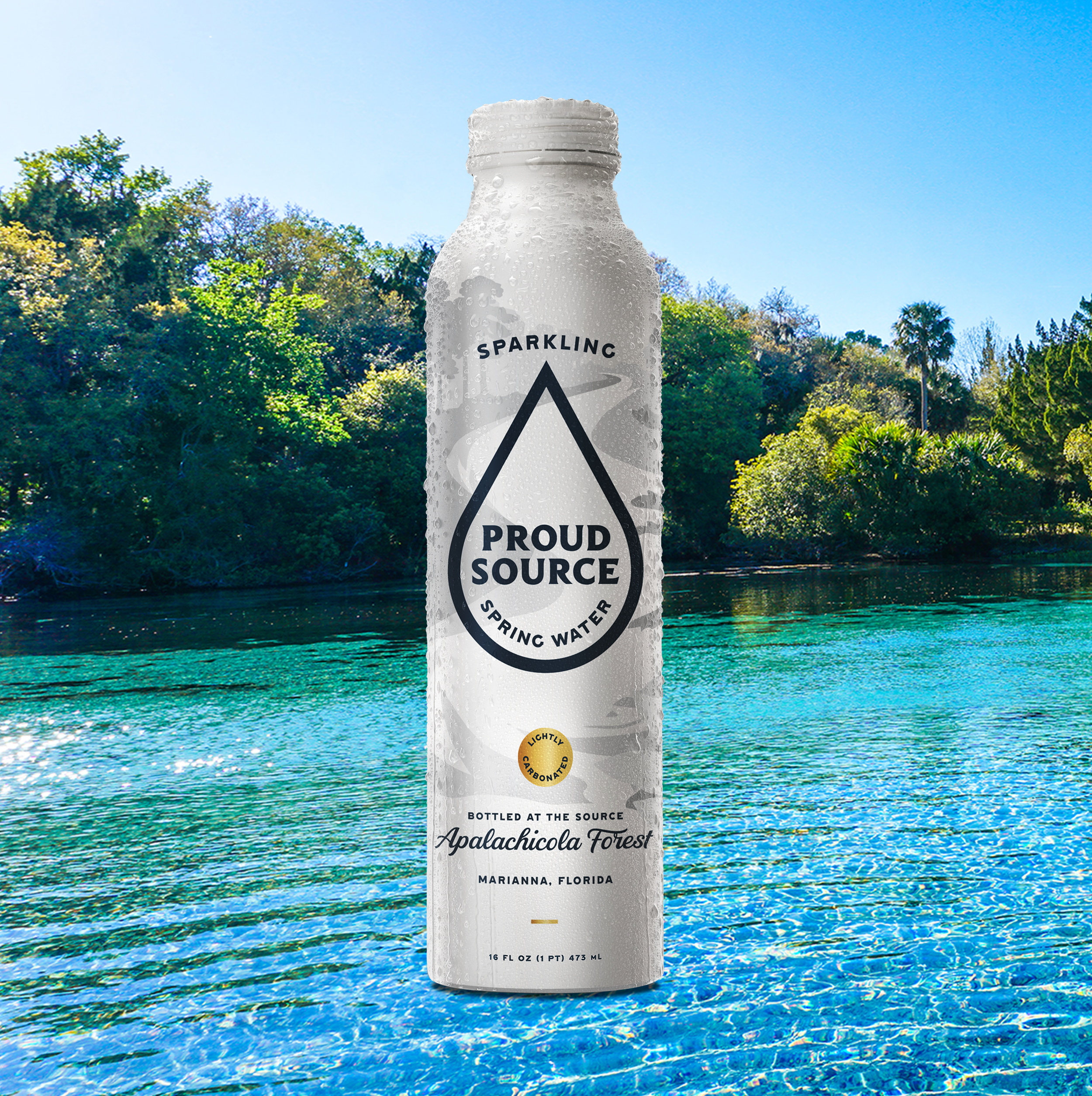 Sparkling bottle FL.animation.png