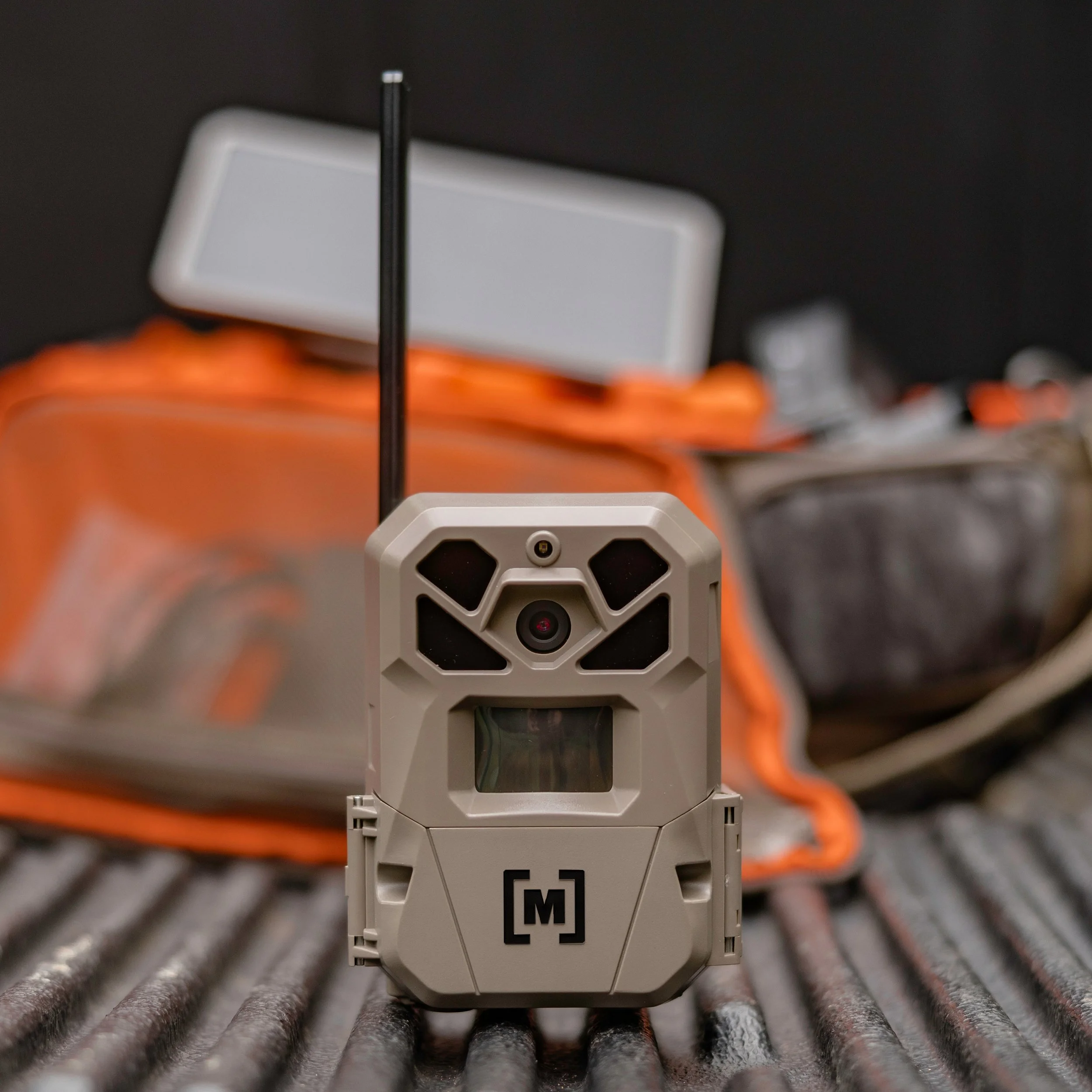 Moultrie thumbnail.jpg