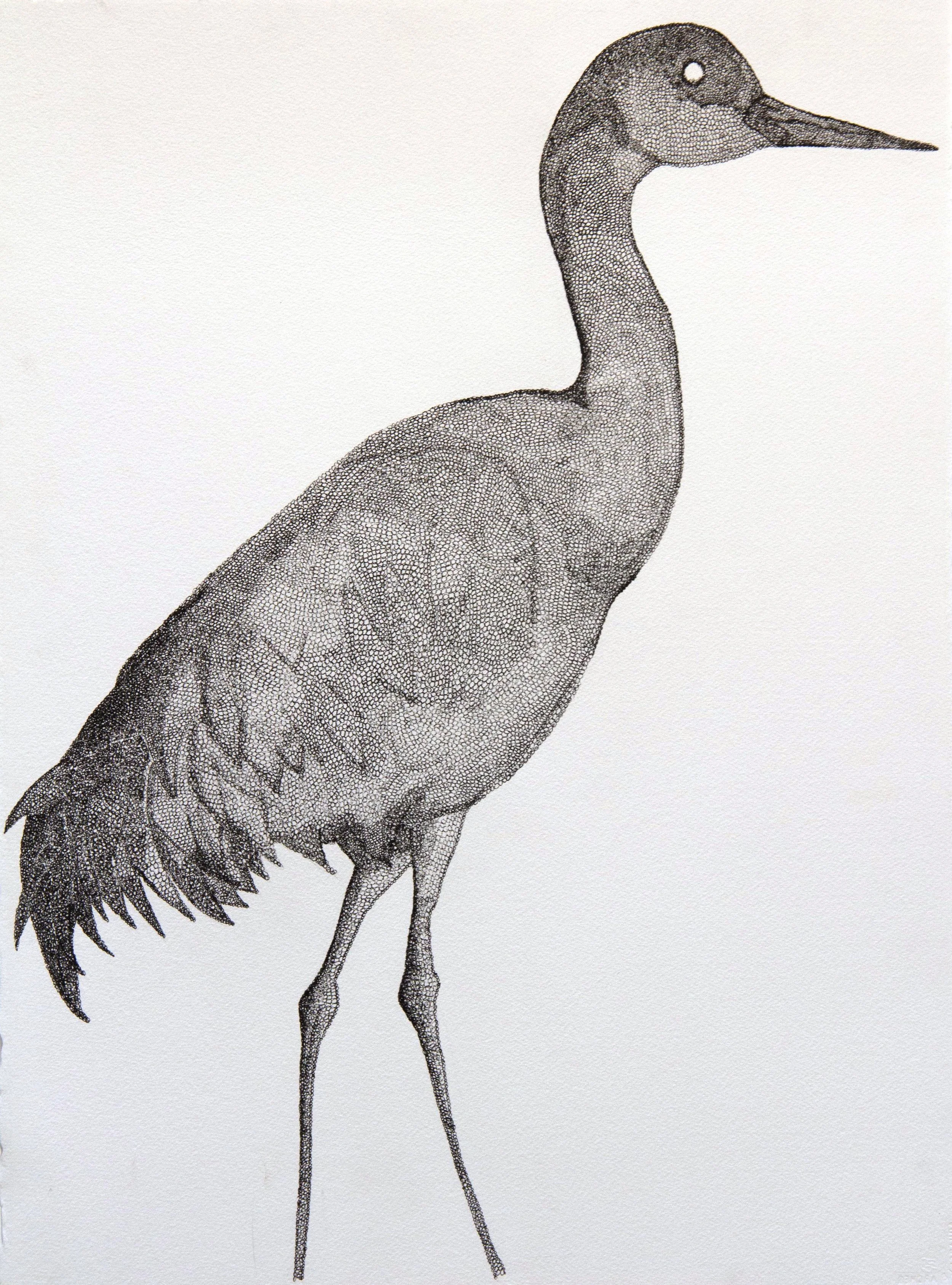 the crane.jpg
