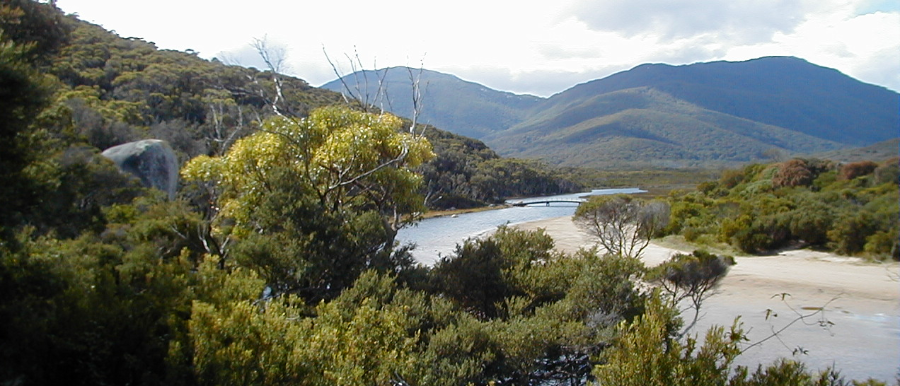 Tidal River, Wilson's Prom