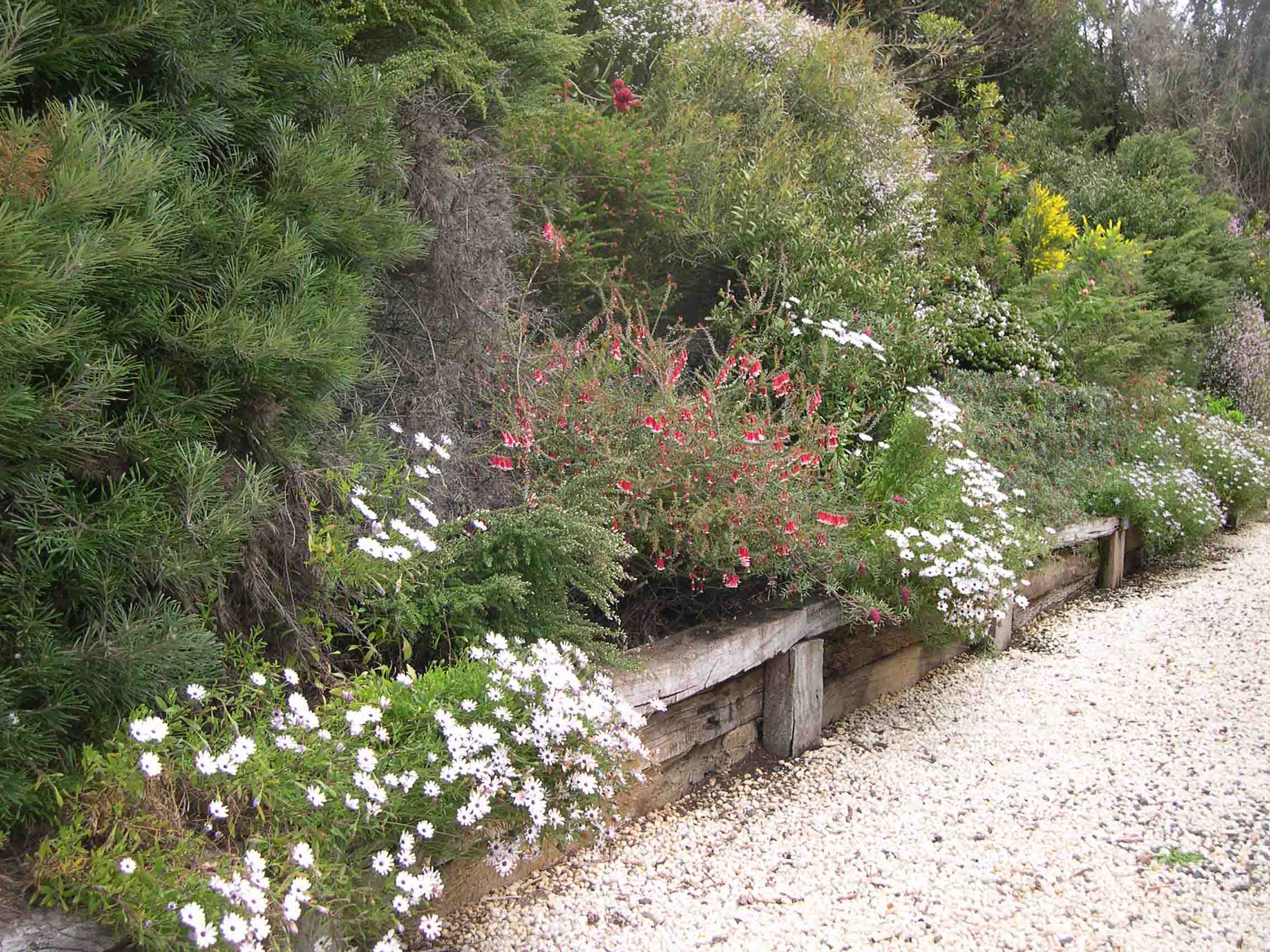 Grand Ridge - flowers in spring.jpg