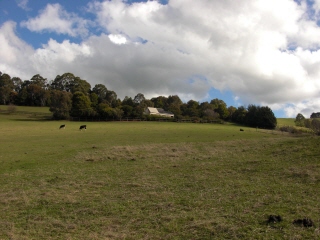 PO20080825_0024.jpg