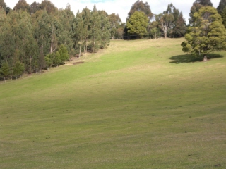 PO20080825_0030.jpg