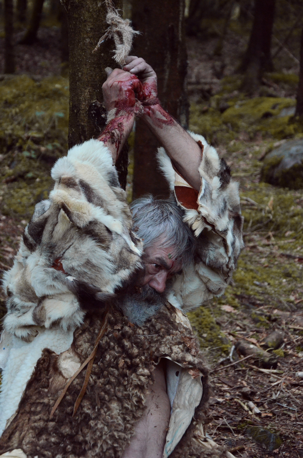 Leiche im Wald