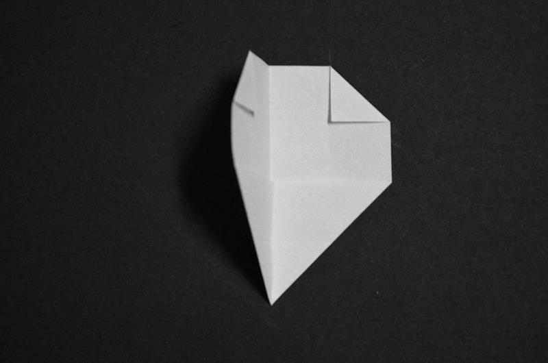 397122_213738072050466_1168975844_n.jpg
