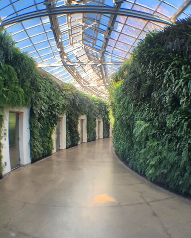 The best restroom hallway! #longwoodgardens #restrooms #plants