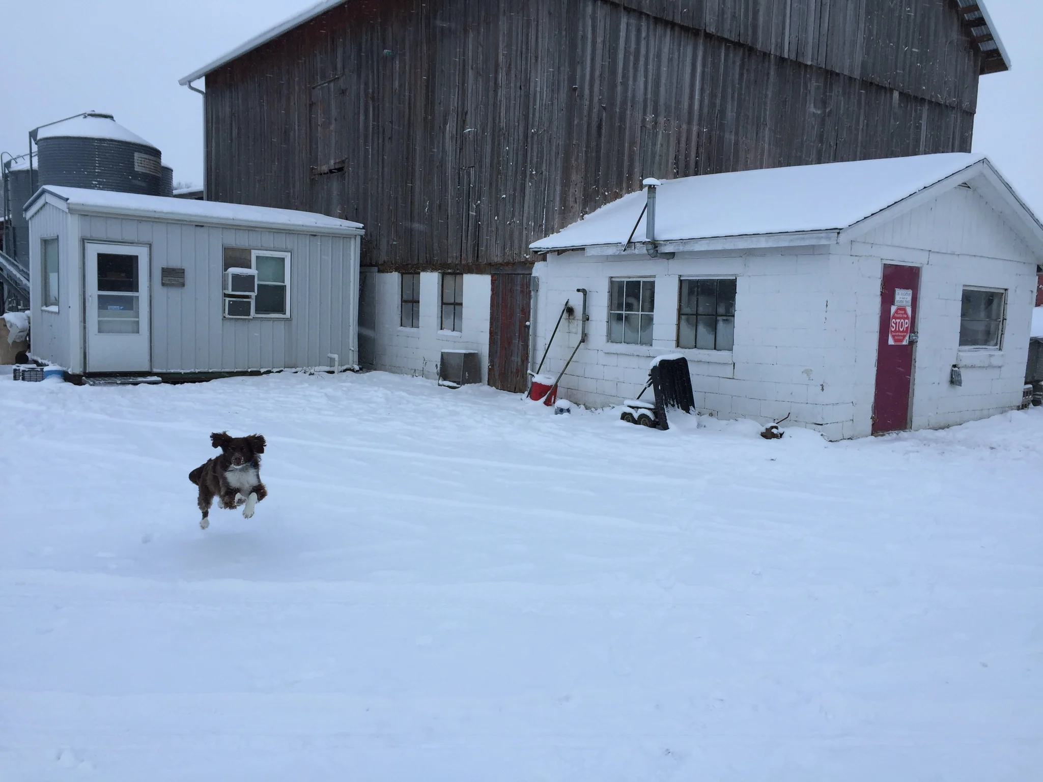 Got Questions? Come Visit the Farm