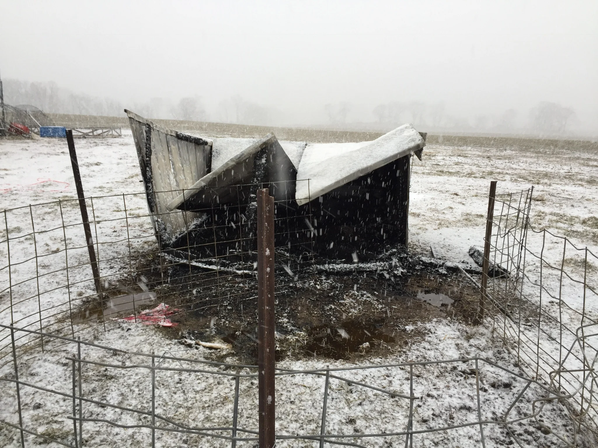 After the fire...see the fence on the bottom right corner, that's were Matilda made her escape.