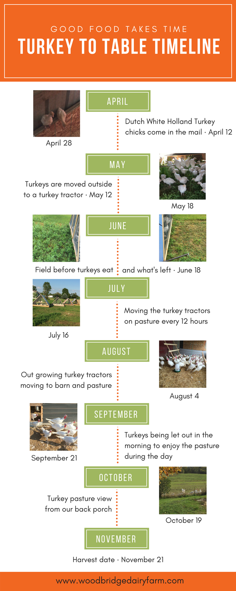 Turkey to Table Timeline.png