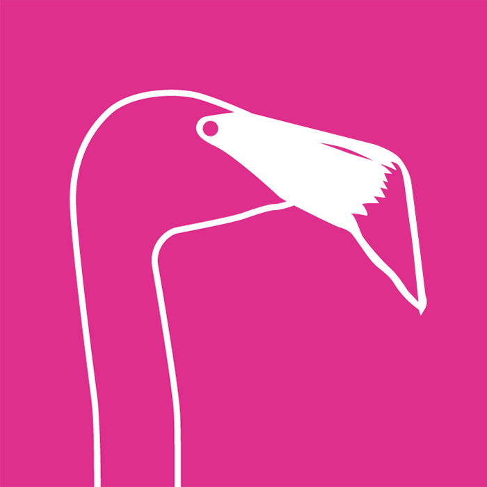 flamingo.png