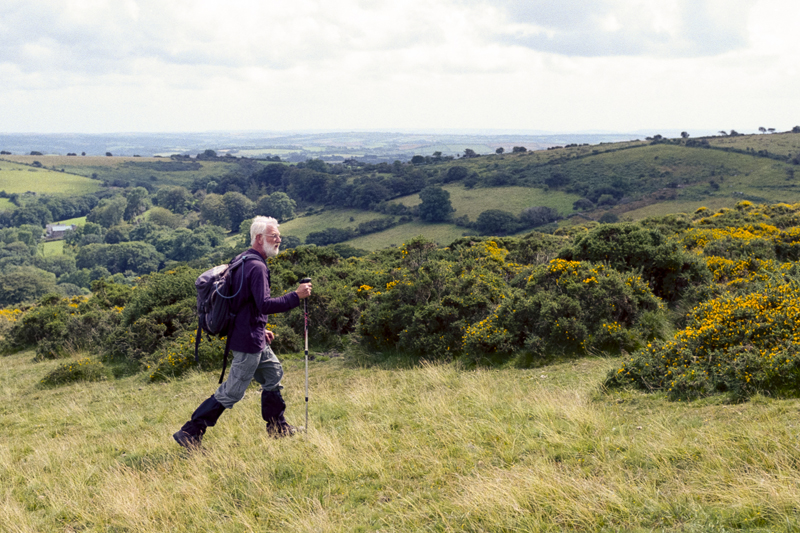 Dartmoor 2014 K-Gold012.jpg