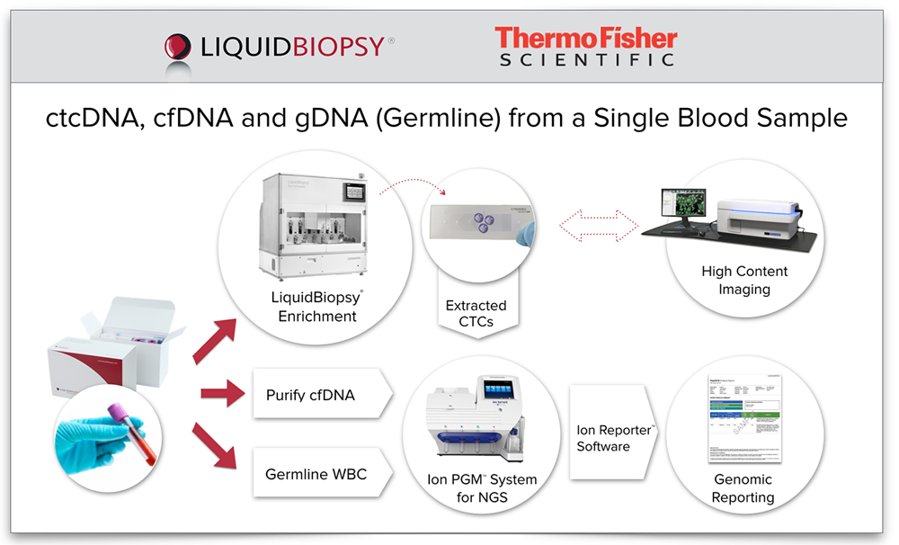 Comprehensive and distributable workflow for ctcDNA, cfDNA and germline sequencing with optional CTC enumeration and highly multiplexed genomic data. <48 hour turn-around, Variant detection: 1% sensitivity, CTC enrichment: 1 in a billion cells
