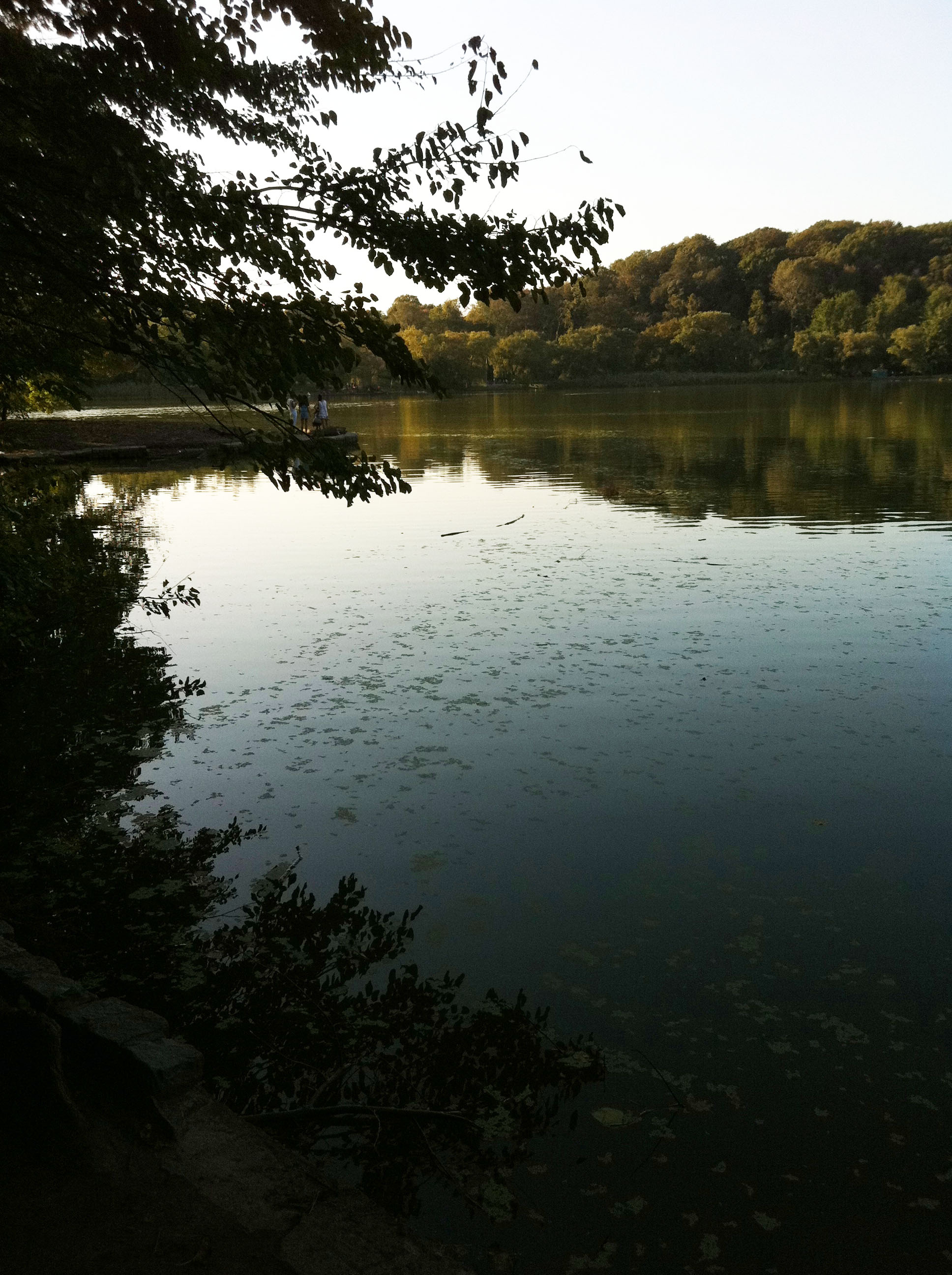 A day in the life: This is Prospect Park