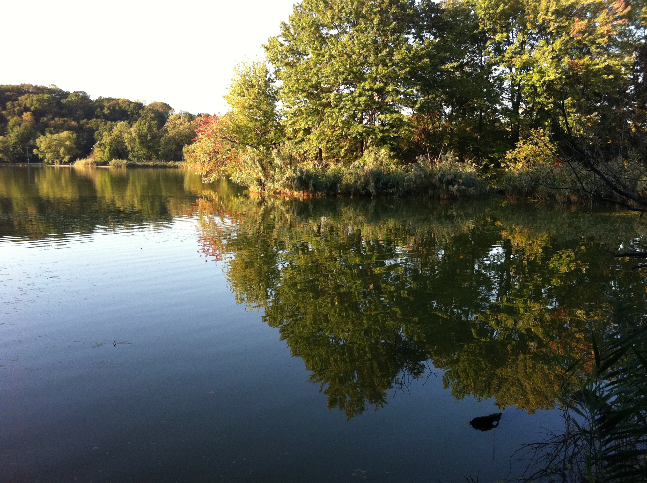 A day in the life: This is Prospect Park