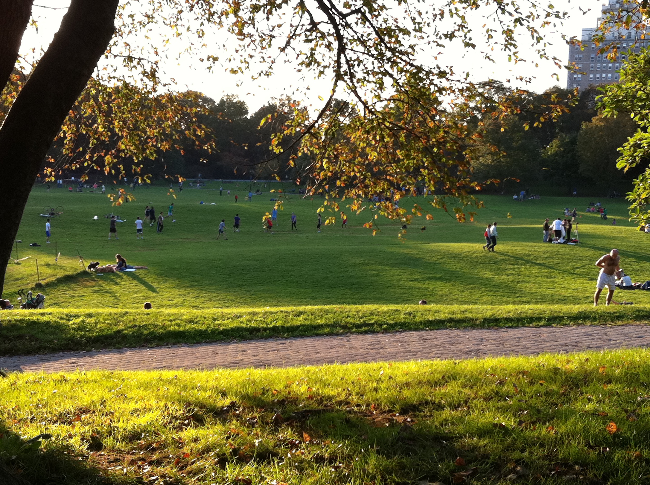 A day in the life: This is Prospect Park