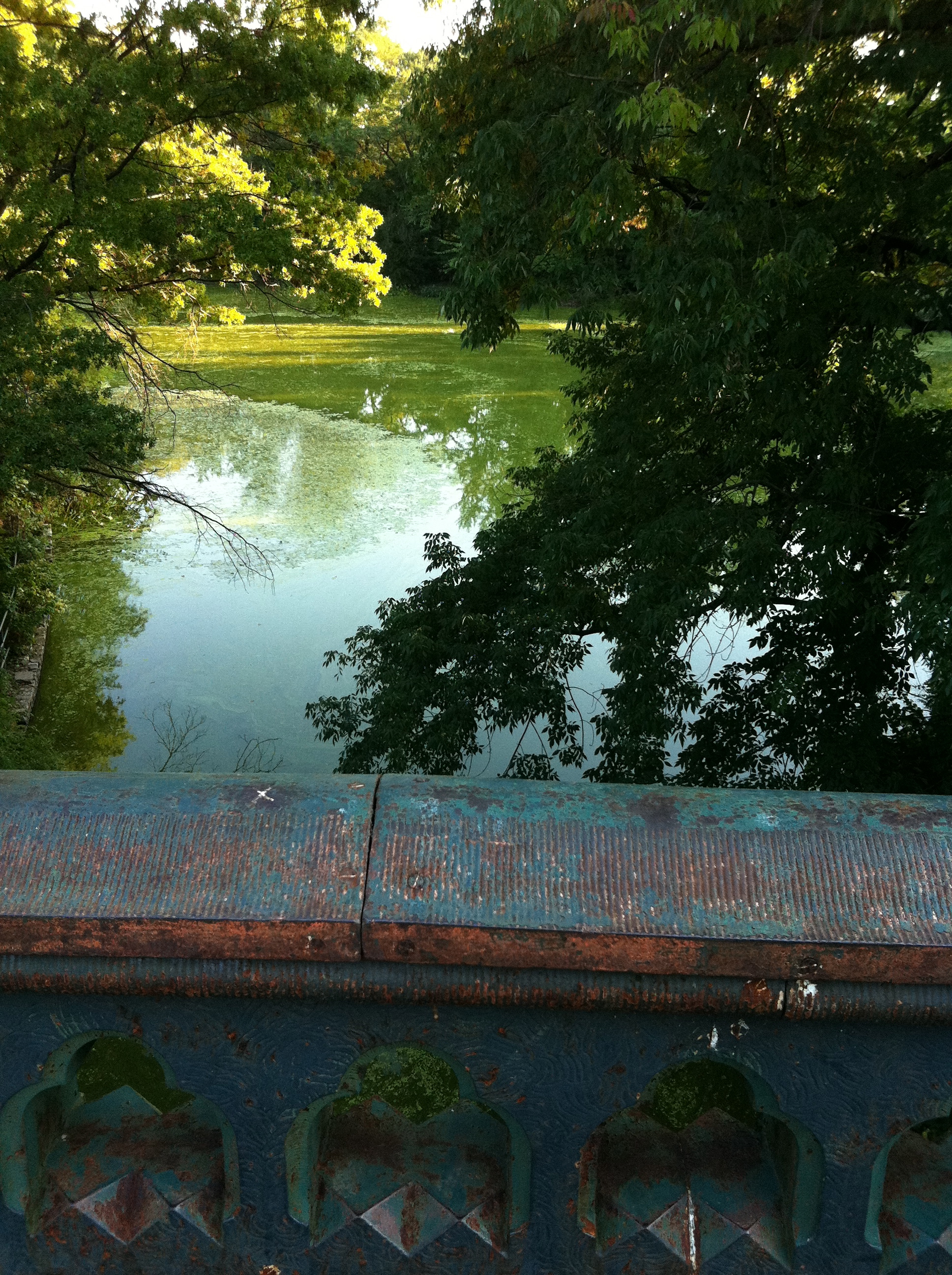 A day in the life: This is Prospect Park