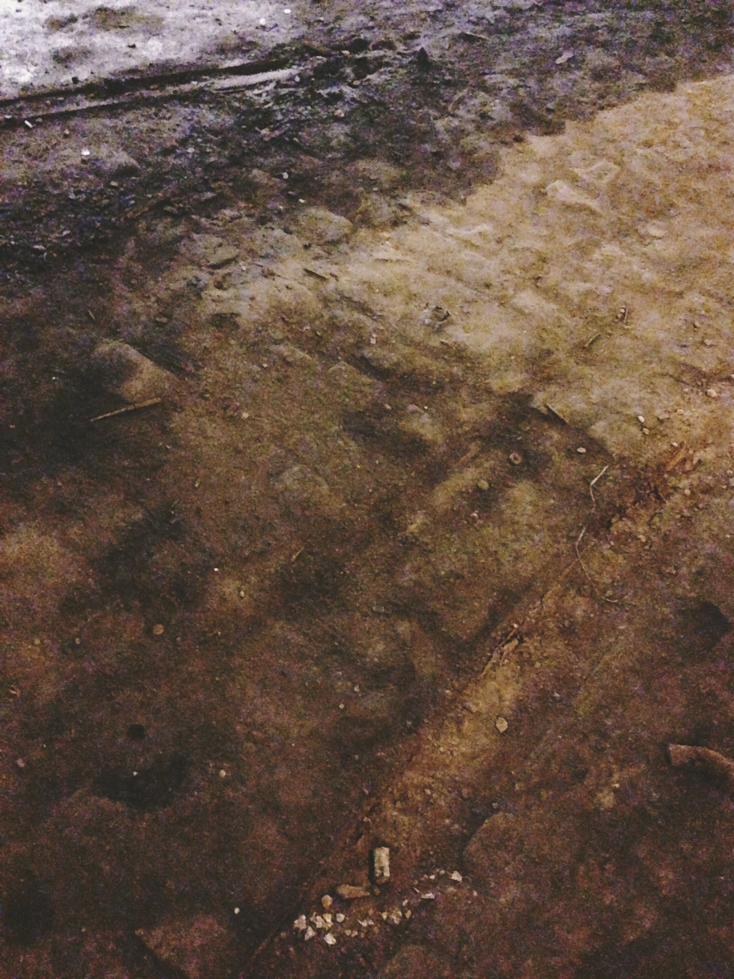 Delancey Trolley Station