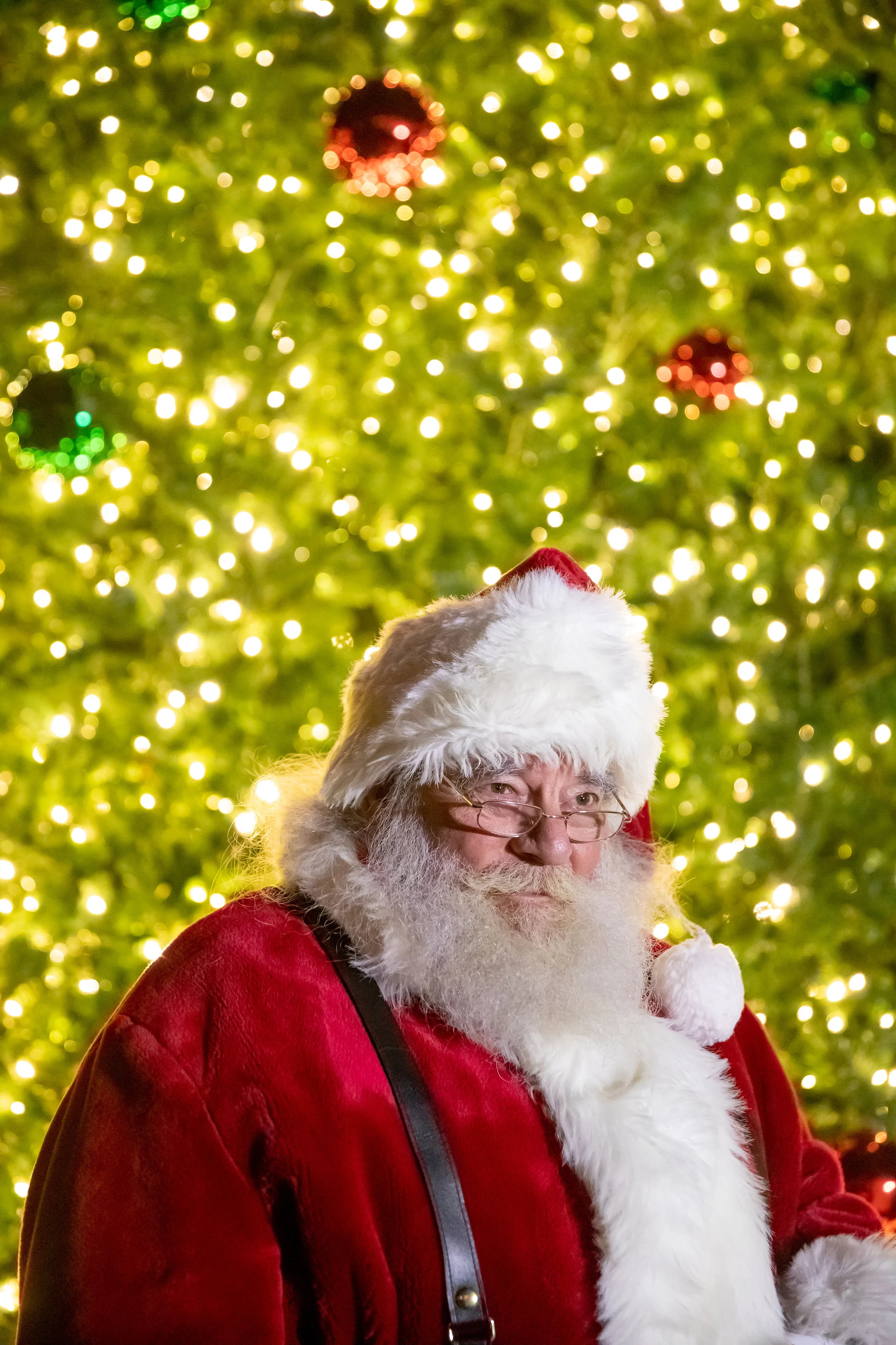 Dublin Ohio Tree Lighting