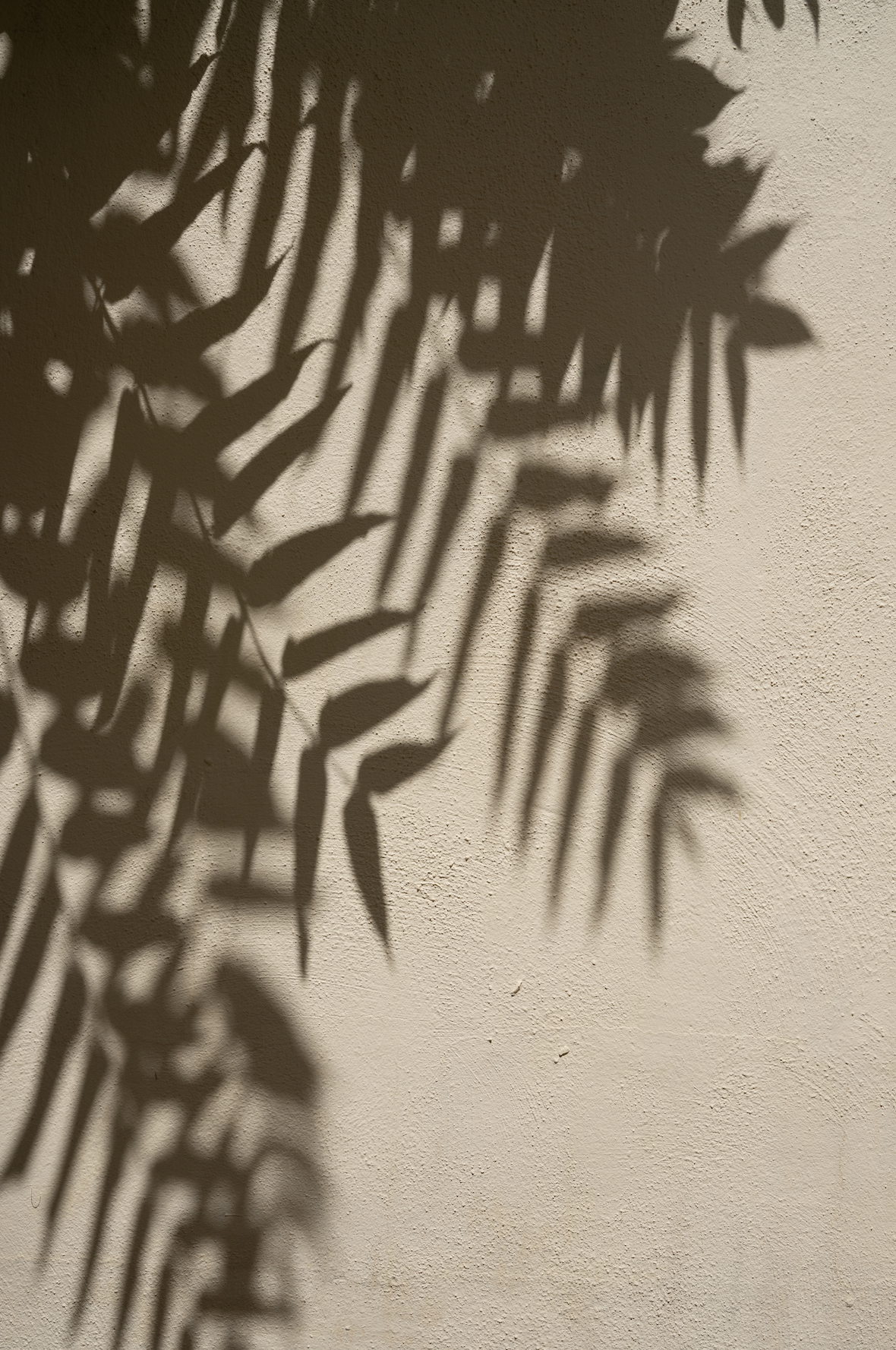 SAMPLE Backdrop - Fauna Shadows