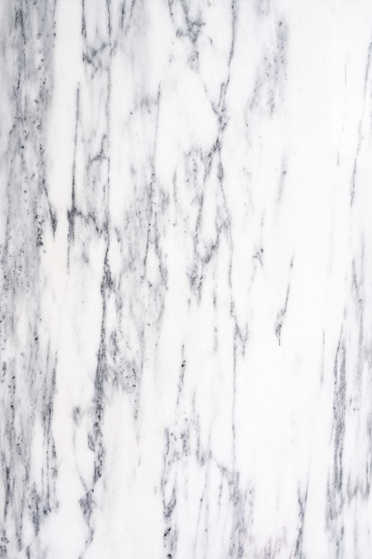 White marble backdrop.png