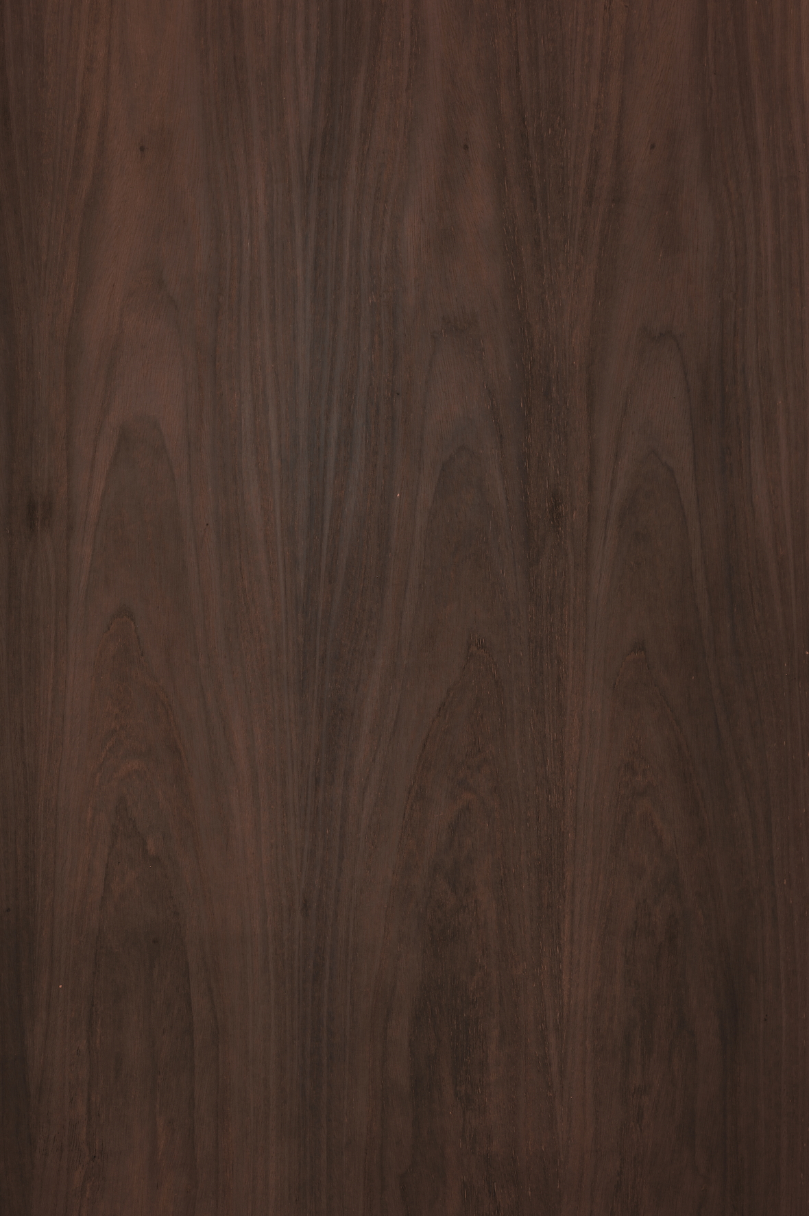 Dark wood backdrop.png