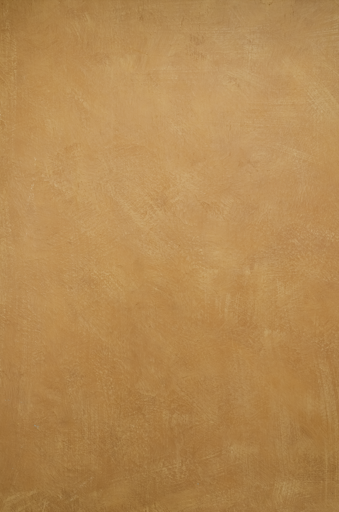 SAMPLE Backdrop - Mustard Plaster  - 1 NEW IN!