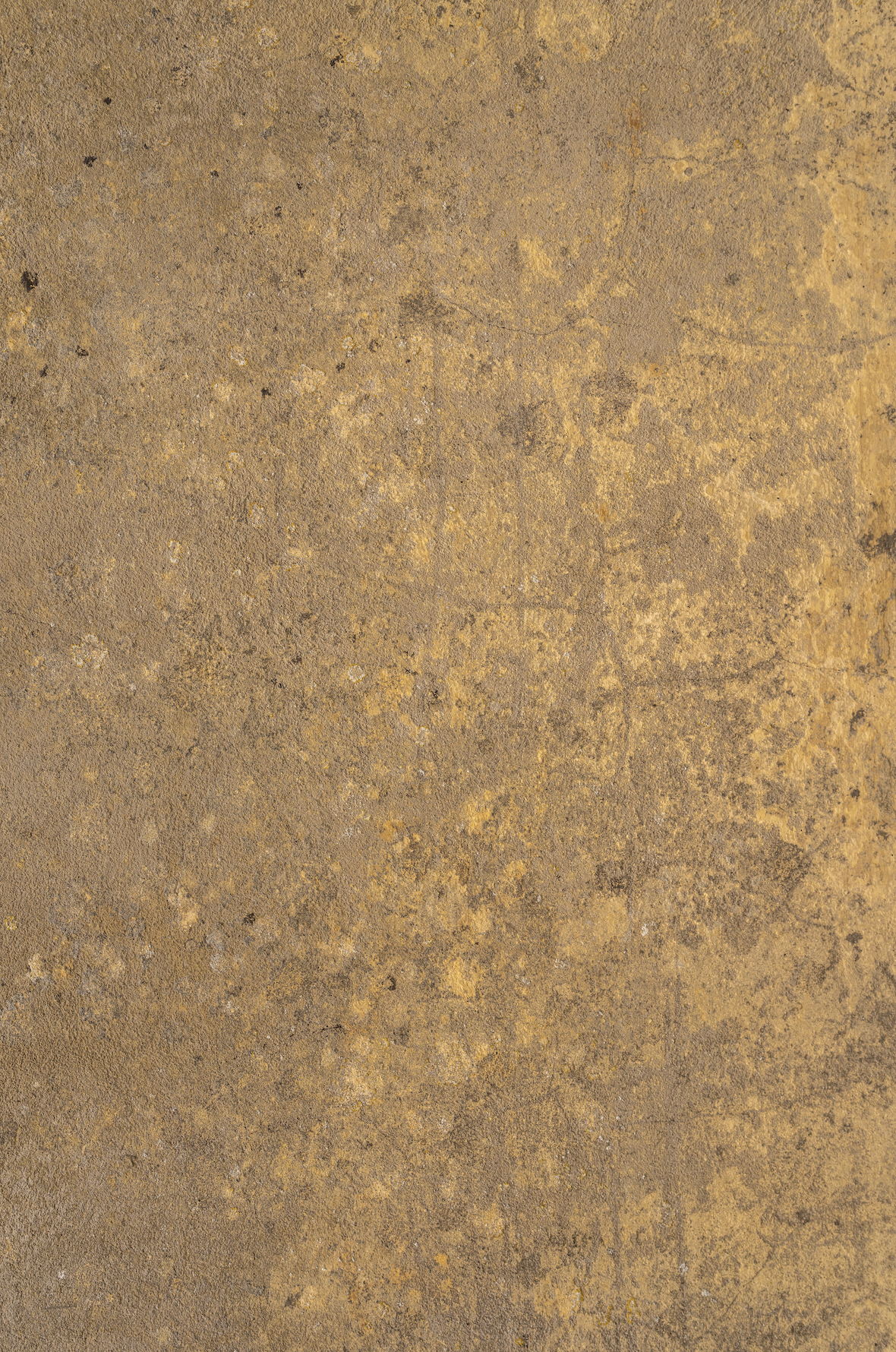 SAMPLE backdrop - Golden Arch  - 1 NEW IN!