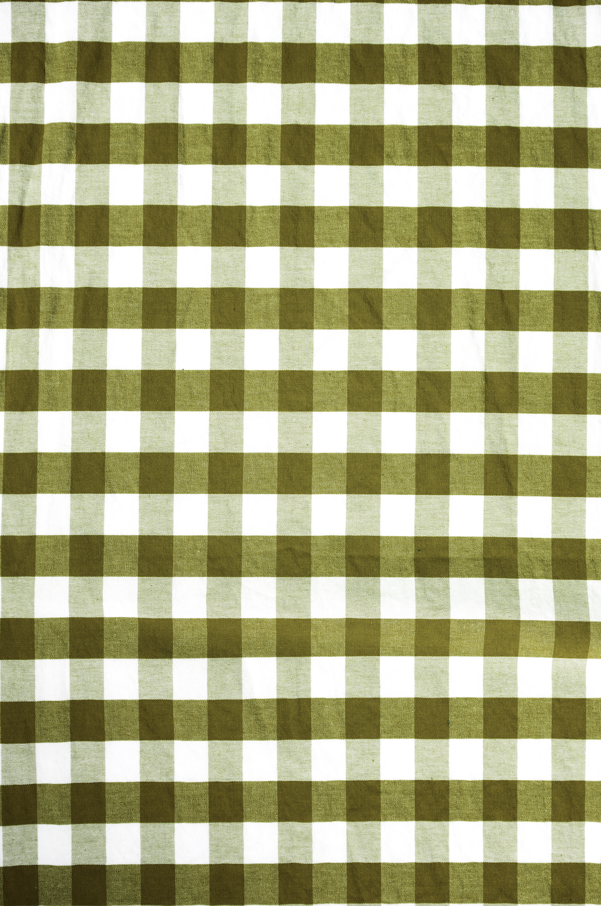 Olive gingham backdrop.png