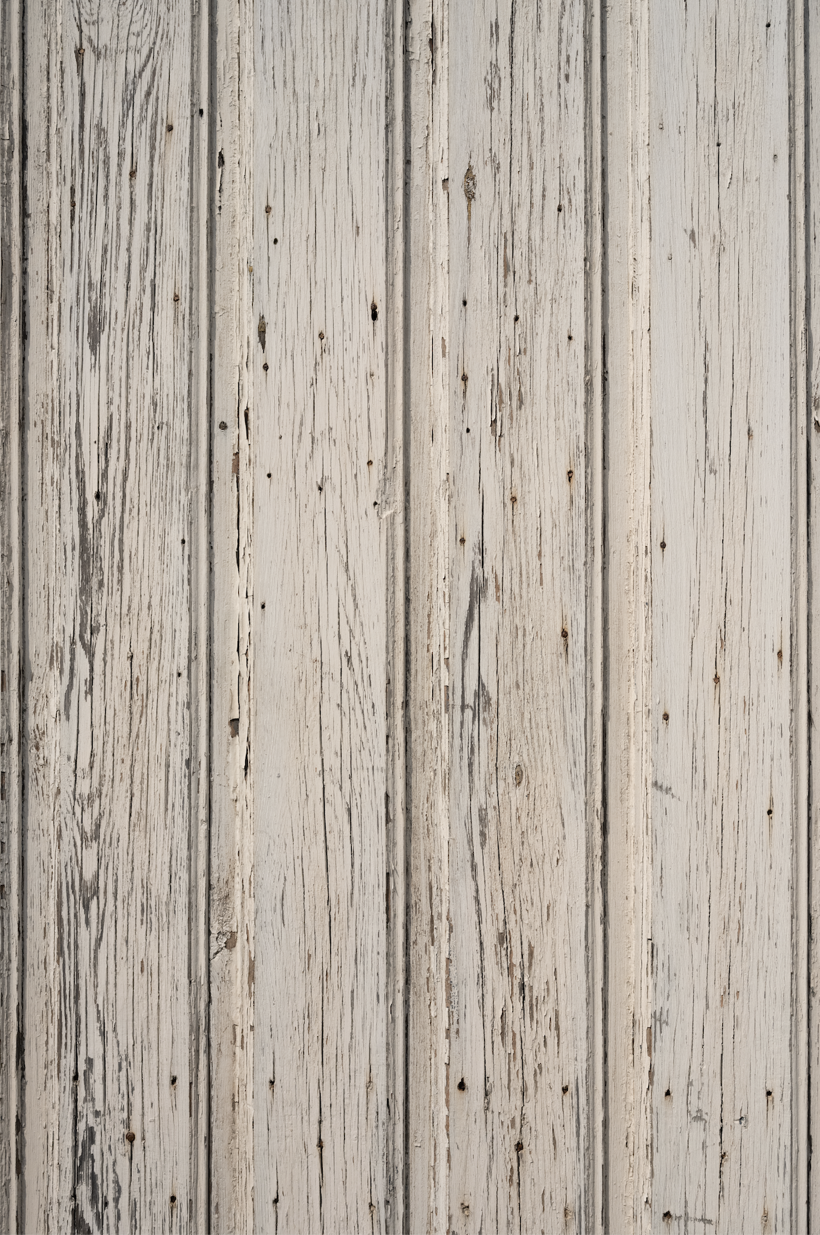 SAMPLE Backdrop - Greige Planks - 1 New in!