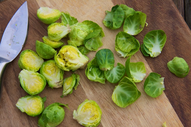 saltysweetsprouts 4