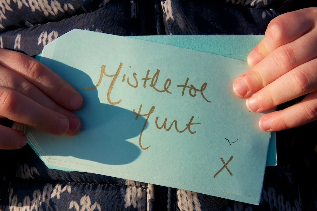 mistletoe hunt 9