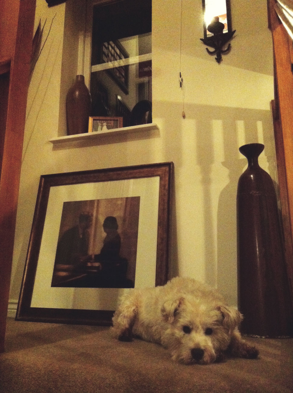 Moose on the stairs