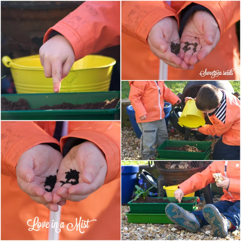 Planting Flowers Sowing Seeds.jpg