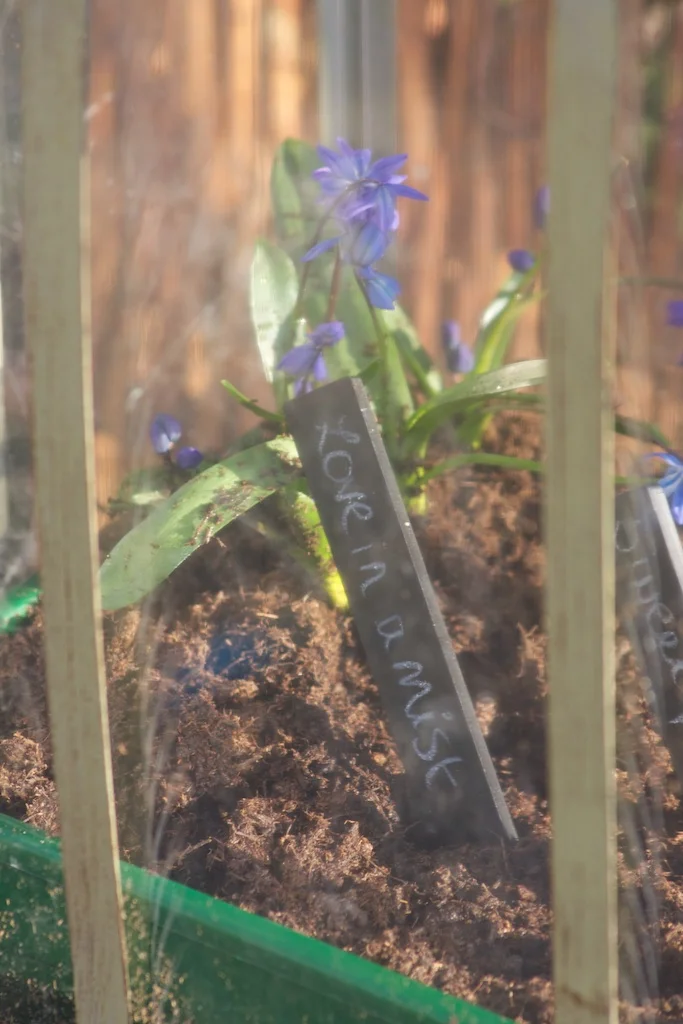 Planting Flowers.jpg