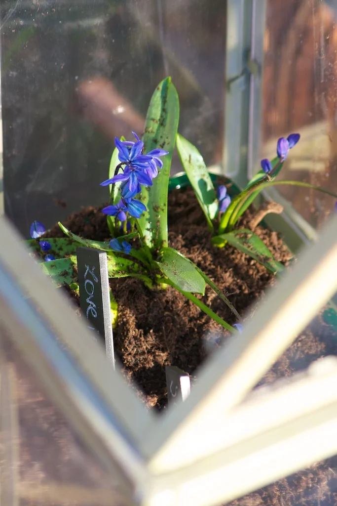 Planting Flowers.jpg