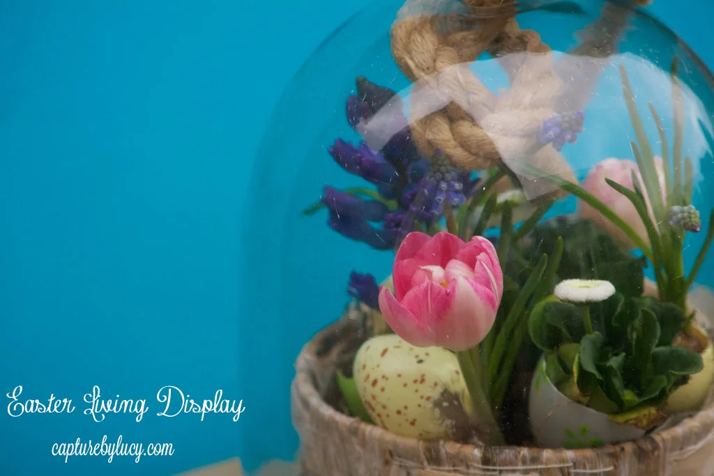 Living-Easter-Display.jpg