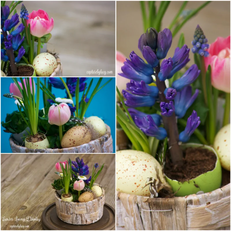 Easter Living Display.jpg