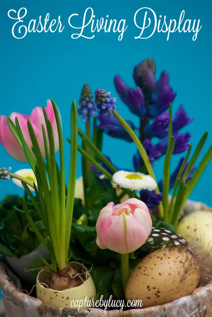 Living-Easter-Display-2.jpg