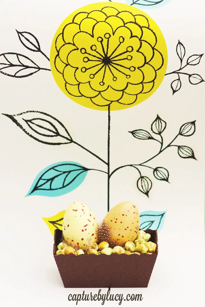 Savoury-Nests.jpg