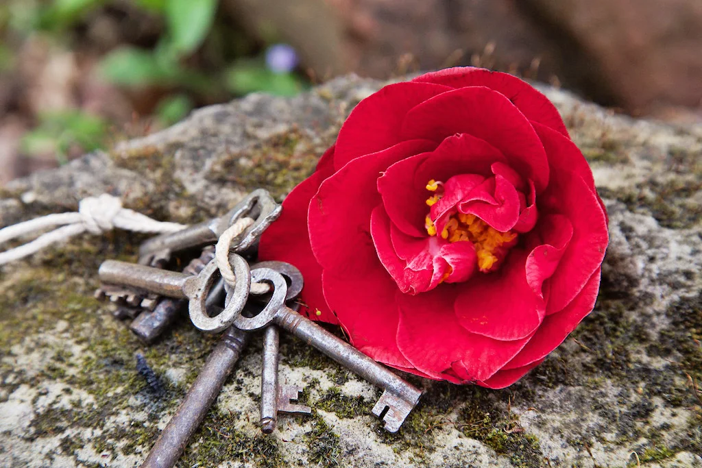 Lock Stock and Sparrow