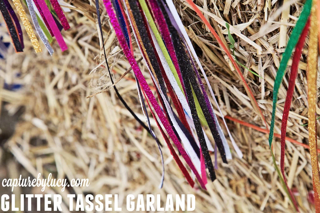 GlitterTasselGarland.jpg