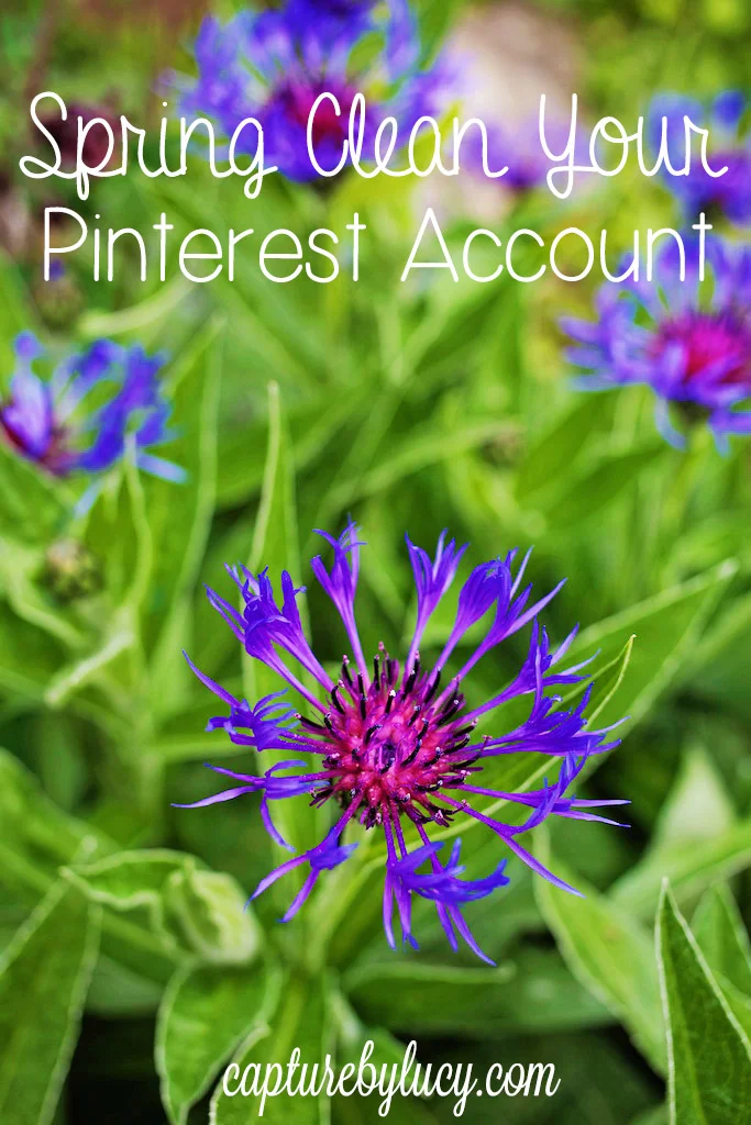 SpringCleanyourPinterestAccount.jpg