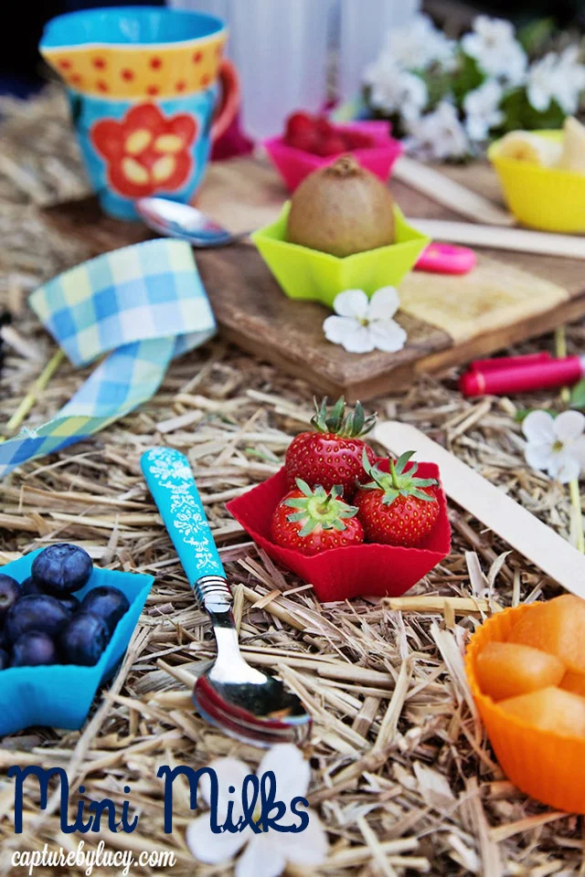 HealthyLolliesIngredients1.jpg