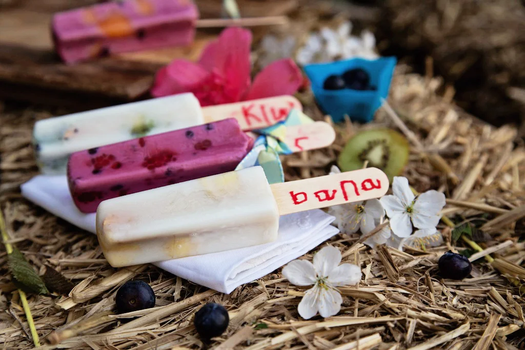 Homemade Mini Milks