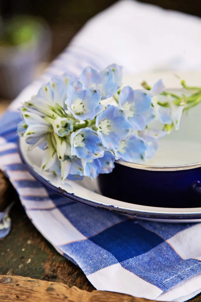 Food Photography Props.jpg