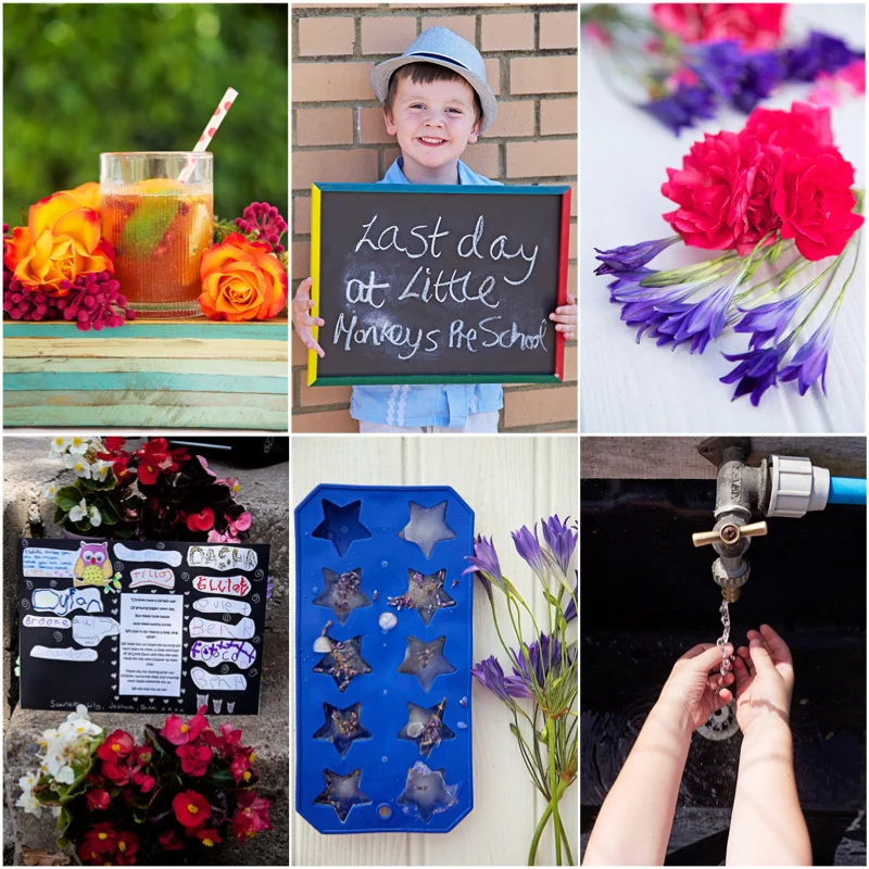 Week in Photos Capture by Lucy.jpg