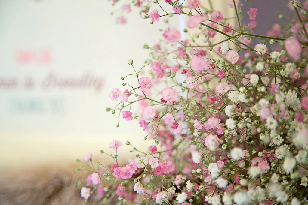 Baby Girl Nursery Inspiration